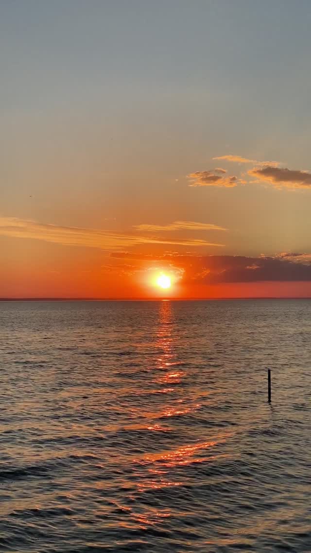 sunset dusk sunset sun  evening sun nature  open sea video