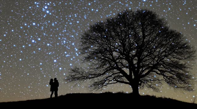 Man And Woman Kissing Stars Behind Them Ar 8F63 night silhouette nature tree milky way star video