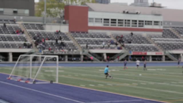 sports venue athlete goalkeeper  sports  soccer competition sport video